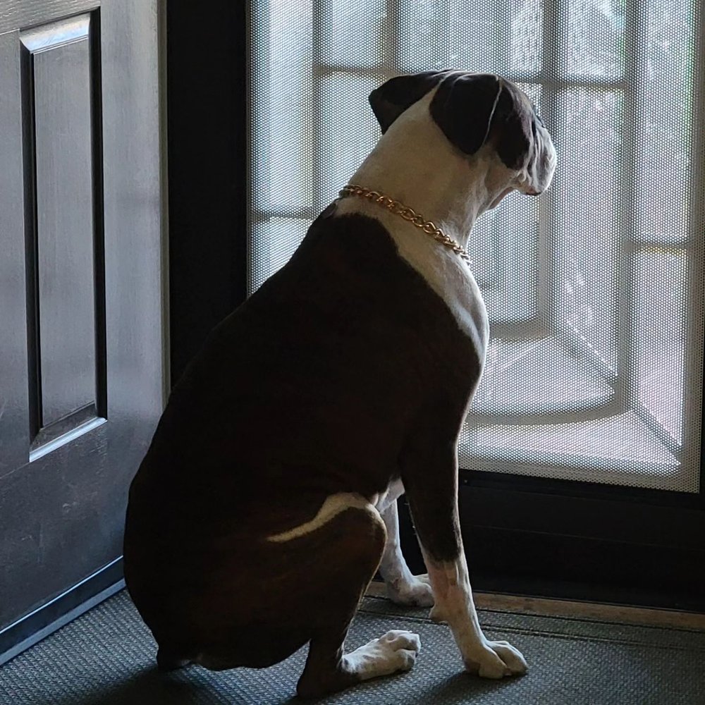 Steve's Mobile Security Doors