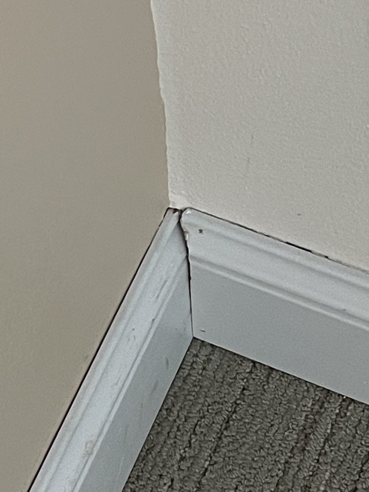 image of business Decorating Ideas