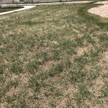 Emerald Isle Landscaping 11 Photos 10 Reviews Photo Of Emerald Isle Landscaping Denver Co United States