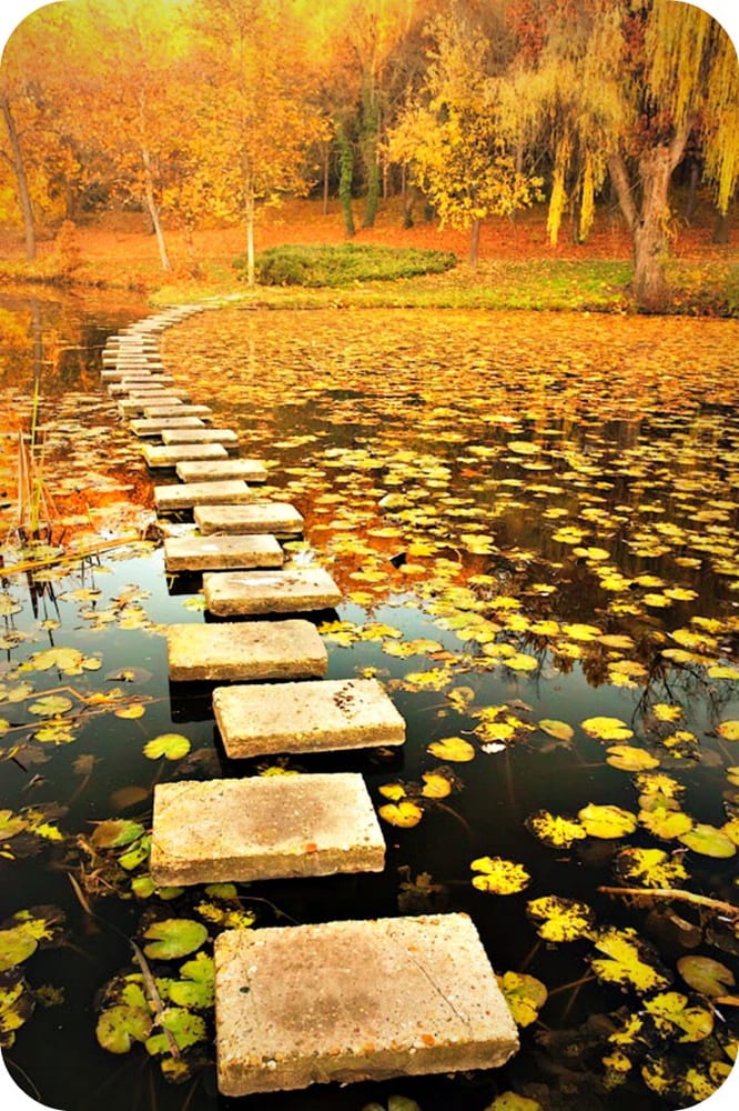 Panacea Center for Wellness Panacea Center for Wellness