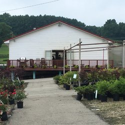 Musser Forests Nurseries Gardening 1880 Rte 119 Hwy N Indiana Photo Of Musser Forests Indiana Pa United States