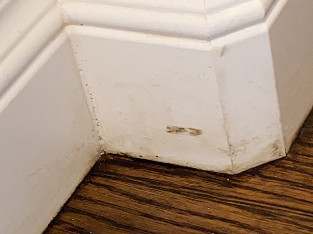 image of business Pryor Floor