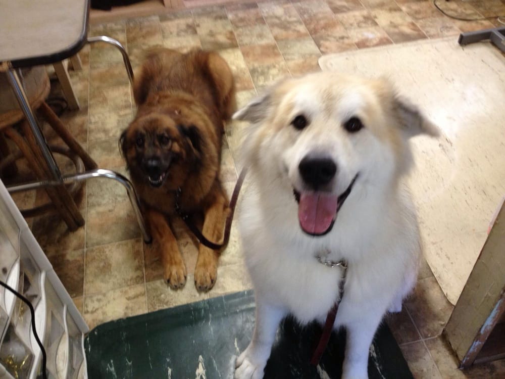 Vicky’s Pet Chalet 21 Photos & 14 Reviews Pet Groomers 1828