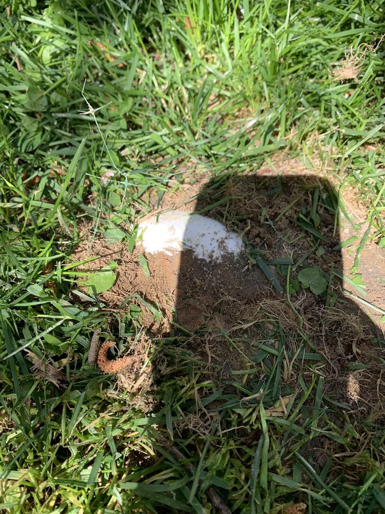 Outdoor Drainage Solutions