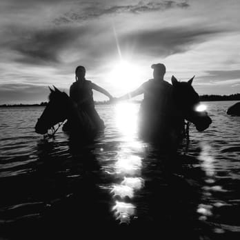 Beachhorses 54 Photos 15 Reviews Horseback Riding 8400 Photo Of Beachhorses Bradenton Fl United States