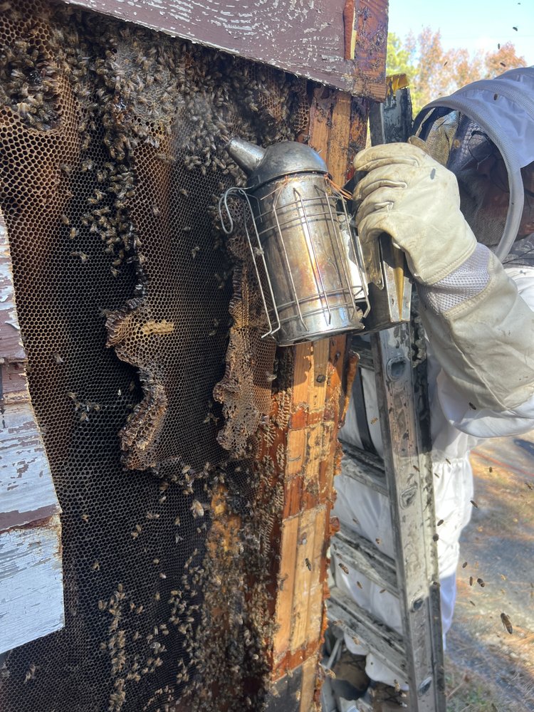 Batman Wildlife and Chimney Sweep