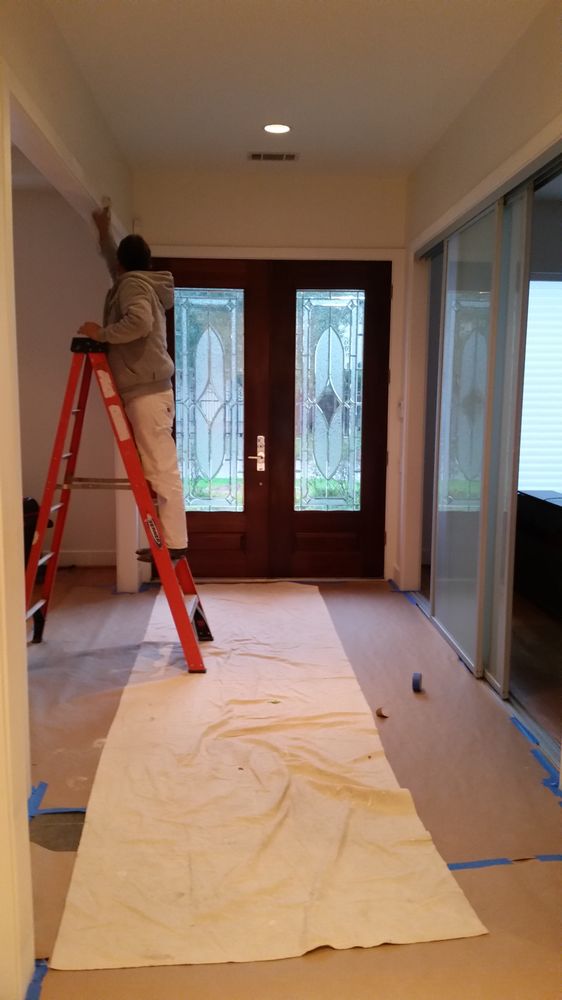 Houston Painters Solutions