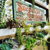 Succulent Gardens - 168 Photos & 51 Reviews - Nurseries & Gardening