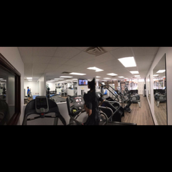 Forever Fitness Gym - CLOSED - Gyms - 9089 N Military Trl ...