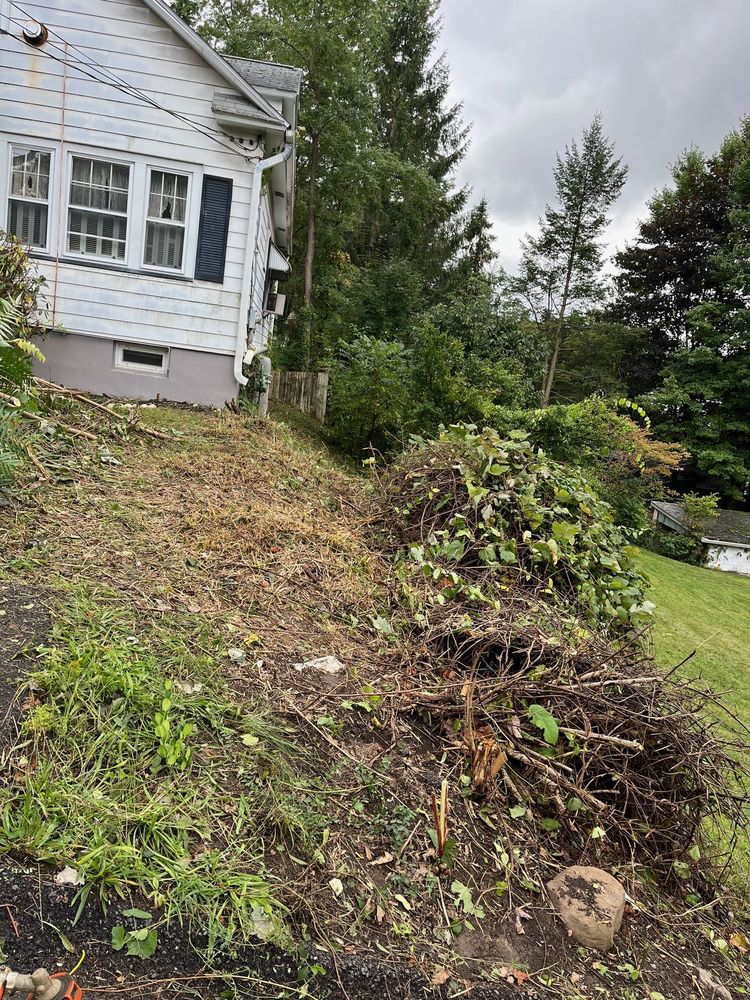image of business Jeremy’s Mowing
