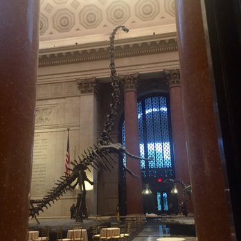 Natural History Museum Nyc Donation Admission Natural History Museum Nyc Donation Admission