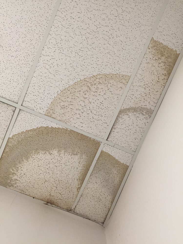 Those Missing Ceiling Tiles Got Put Into The Ing Room It Photo Of Forever 21 Hanford Ca United States Those Missing Ceiling Tiles