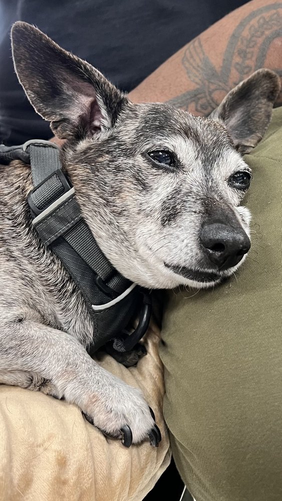 Les Schwab Tire Center