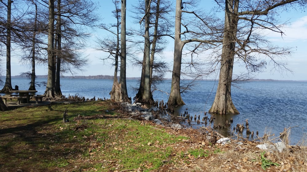Reelfoot Lake State Park 26 Photos Parks 2595 State Rt 21E reelfoot-lake-state-park-26-photos-parks-2595-state-rt-21e