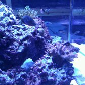 new fish closed 10