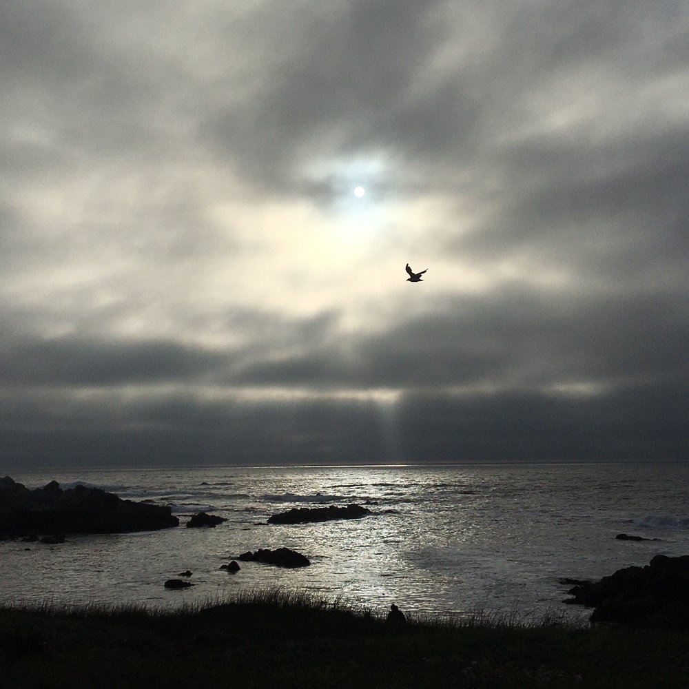 RV Rentals in Pacific Grove, CA Asilomar State Beach