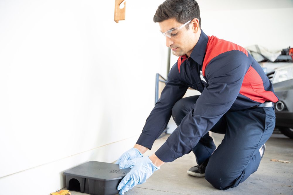 Fox Pest Control - Long Island