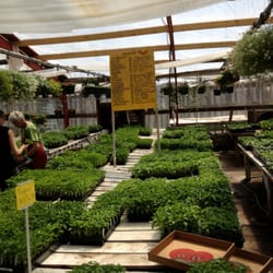 Alameda Greenhouse 70 Photos Nurseries Gardening 9515 1 2 Photo Of Alameda Greenhouse Albuquerque Nm United States