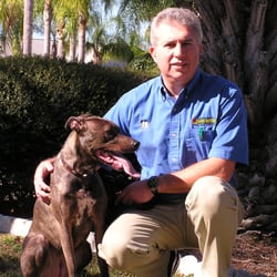 dog training st pete dog training st pete