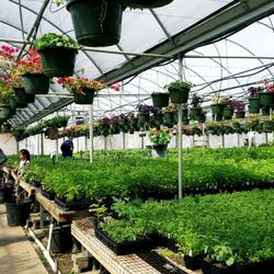 Doan's Nursery - 44 Photos - Nurseries & Gardening - 622 S ...