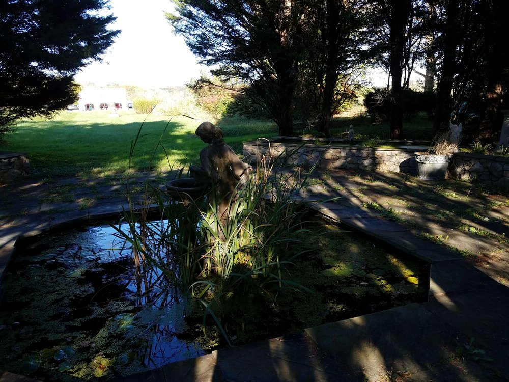 Lilypons Water Gardens