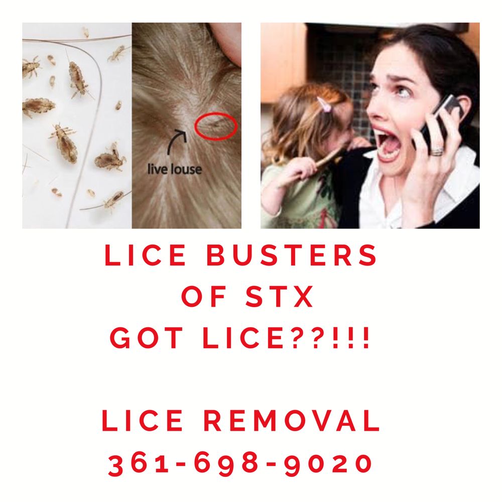 The Lice Angels