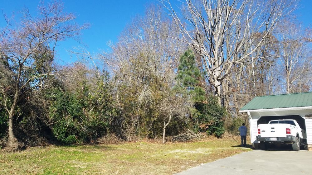 Triad Precision Landscaping