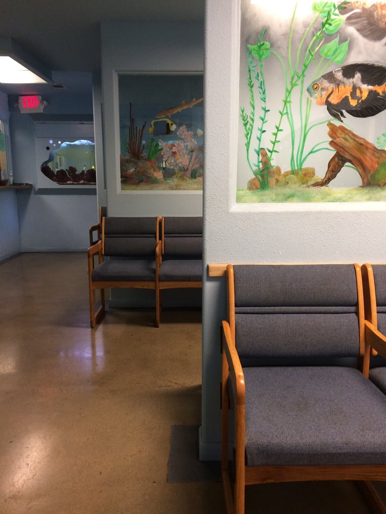 image of business ABC Pediatrics