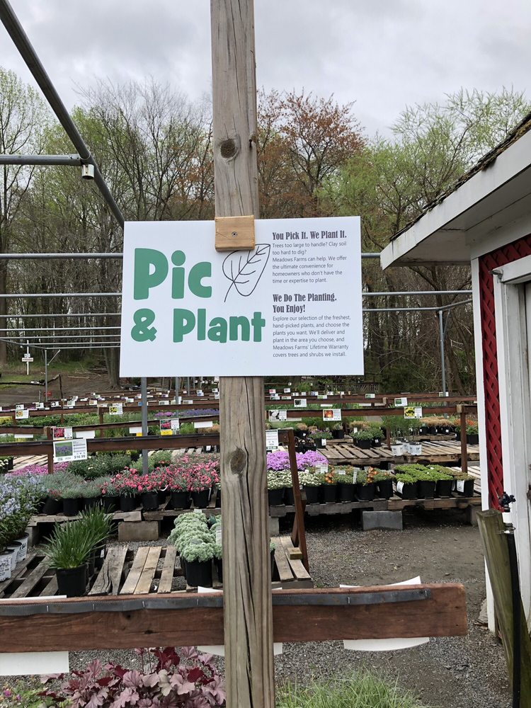 Meadows Farms Nurseries - Route 7