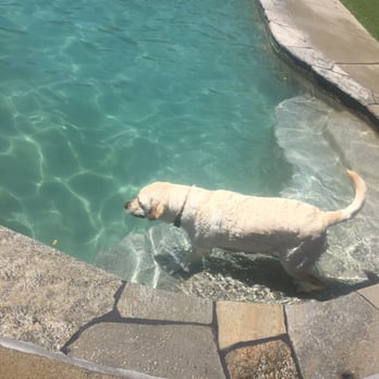 Country Kennels Dog Water Park Murrieta Ca Country Kennels Dog Water Park Murrieta Ca