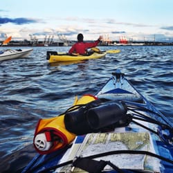 Alki Kayak Tours Temp Closed 36 Photos 88 Reviews Boating Photo Of Alki Kayak Tours Seattle Wa United States From The Co