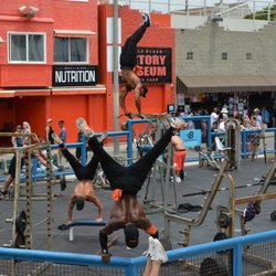 Muscle Beach Gym 249 Photos 92 Reviews Gyms 1800 Ocean Front Photo Of Muscle Beach Gym Los Angeles Ca United States