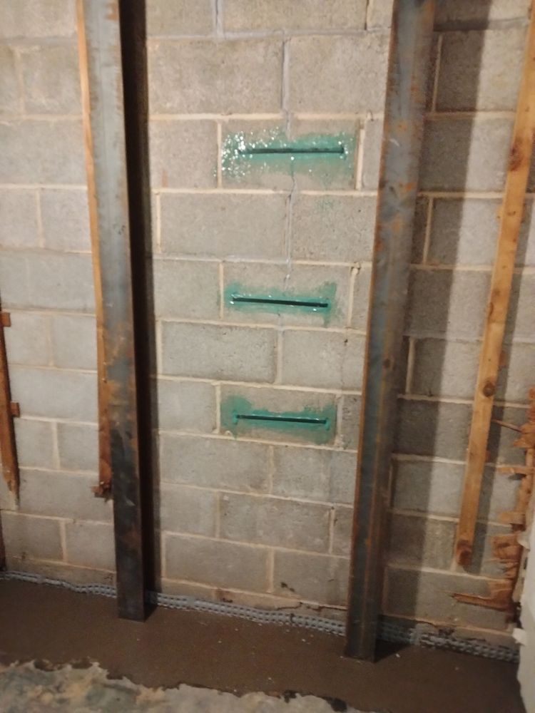 All Mold & Basement Services