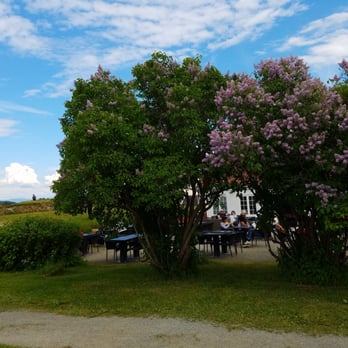 havfruen restaurant trondheim gratis noveller havfruen restaurant trondheim gratis noveller