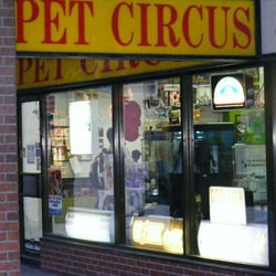pet circus pet stores 274 bank street ottawa on pet circus pet stores 274 bank street ottawa on
