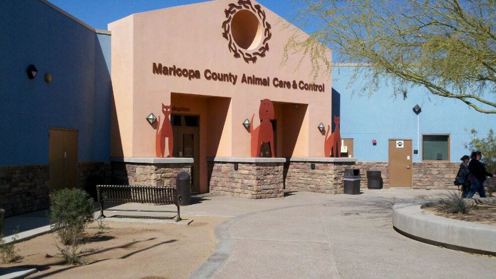 Maricopa County Animal Care Control West Valley Care Center 2500 S 27th Ave Phoenix Az 85009