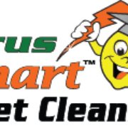 Wizard Carpet Cleaning Katy Tx Phone Number Photo For Carpet Cleaning Katy Tx