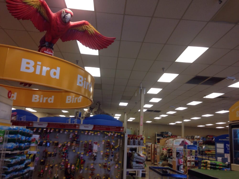 PetSmart 31 Reviews Pet Training 4740 E Grant Rd, St Cyrils