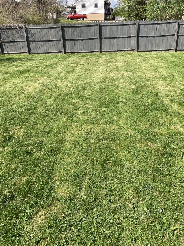 Big Ed’s Lawncare