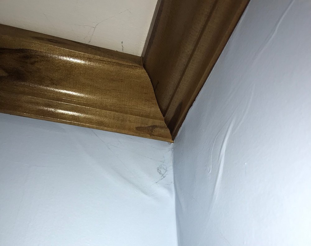 The Home Inspector