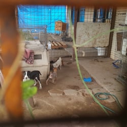 fishcom pet store pet shops 4604 s 6th ave tucson az fishcom pet store pet shops 4604 s 6th ave tucson az