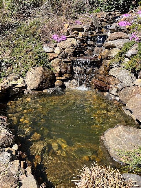 TTP Aquatic Maintenance