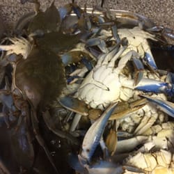 Kristy Crab Seafood 6109 Black Horse Pike Mays Landing Nj Photo Of Kristy Crab Mays Landing Nj United States 3 For 30