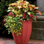 Roorbach Flowers 10 Photos Florists 961 S 29th St Manitowoc Photo Of Roorbach Flowers Manitowoc Wi United States Unique Container Gardens