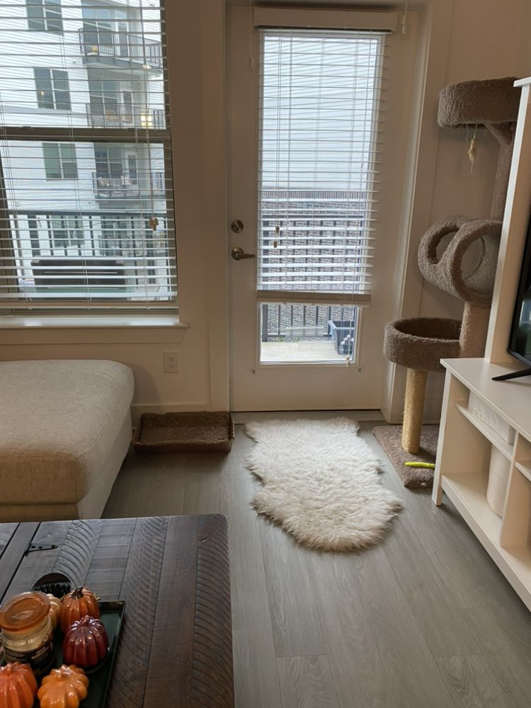 The Charlotte Cleaners Group