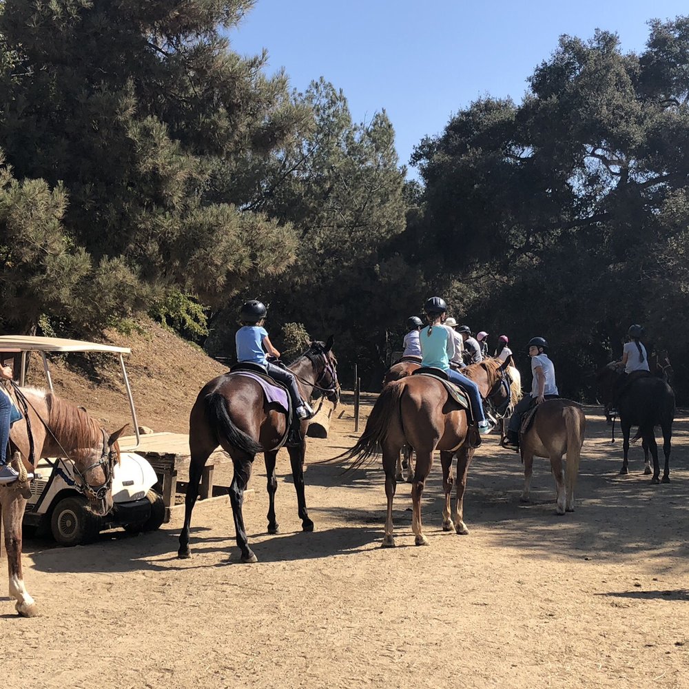 Marshall Canyon Equestrian Center 127 Photos & 126 Reviews