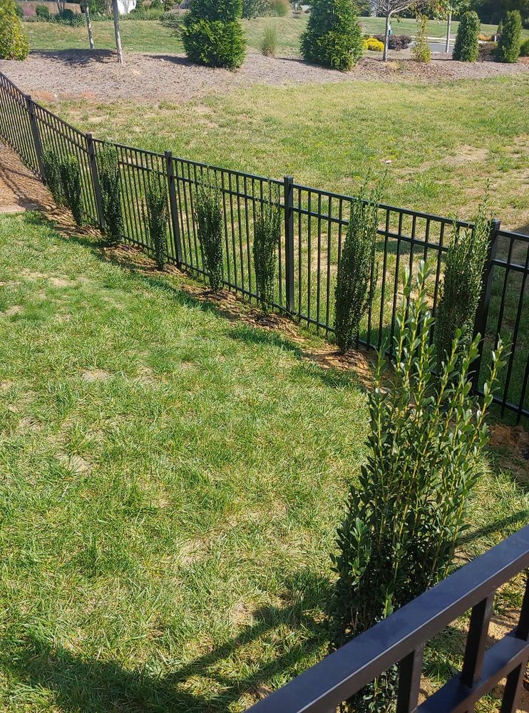 Cook's Lawn & Landscape