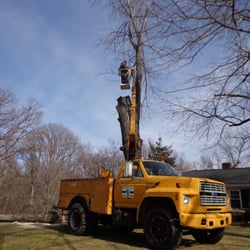 Tree Service Evansville  Photo of Lewis Tree Service - Evansville, IN, United States. One of many