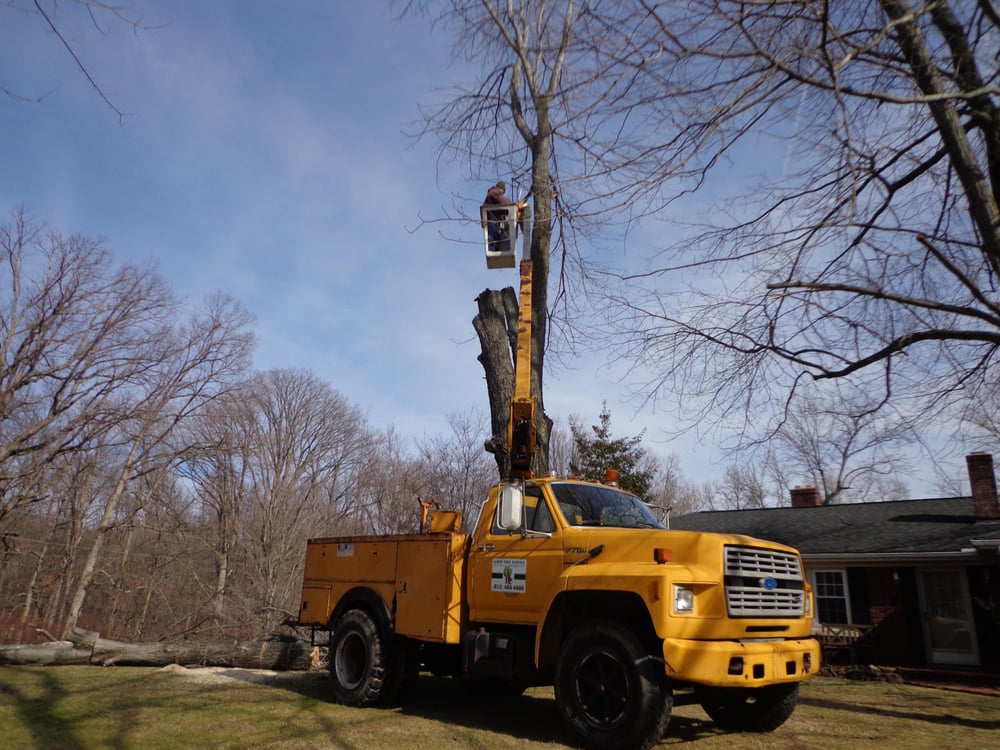 Lewis Tree Service 13 Photos Tree Services Evansville, IN Phone