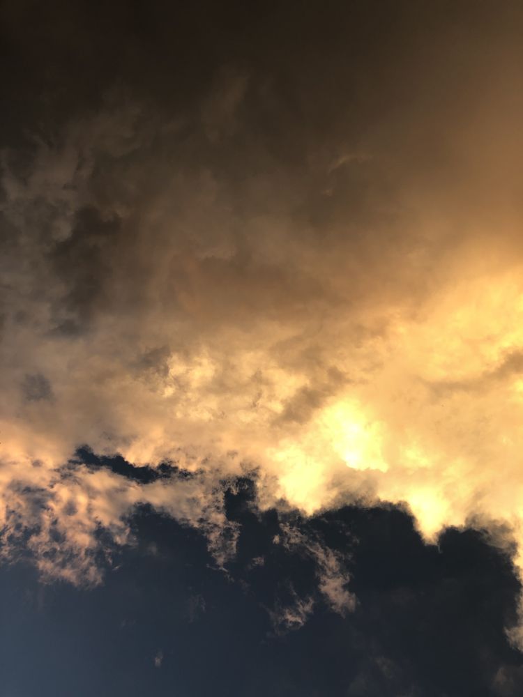 Eldridge Arborist & Landscaping